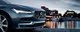 Для галереи Volvo S90: